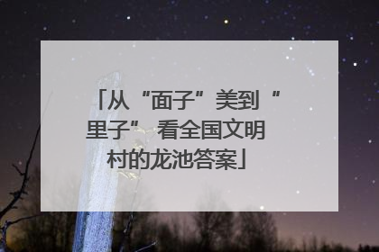 从“面子”美到“里子” 看全国文明村的龙池答案