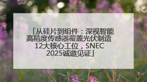 从硅片到组件：深视智能高精度传感器覆盖光伏制造12大核心工位，SNEC 2025诚邀见证