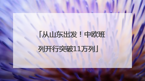 从山东出发！中欧班列开行突破11万列