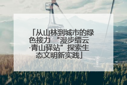 从山林到城市的绿色接力 “漫步缙云·青山驿站”探索生态文明新实践