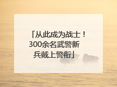 从此成为战士！300余名武警新兵戴上警衔