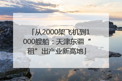 从2000架飞机到1000艘船：天津东疆“租”出产业新高地