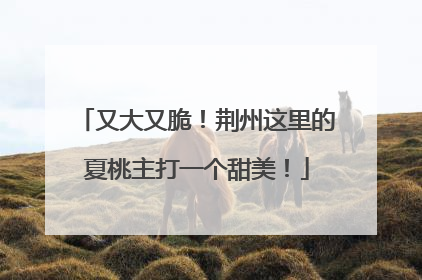 又大又脆！荆州这里的夏桃主打一个甜美！