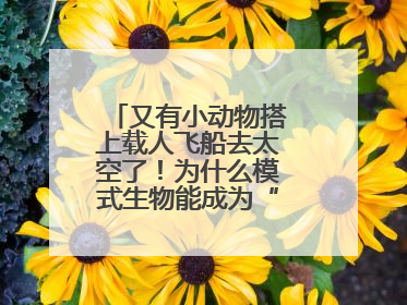 又有小动物搭上载人飞船去太空了！为什么模式生物能成为“探索代表”？