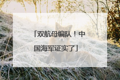 双航母编队！中国海军证实了