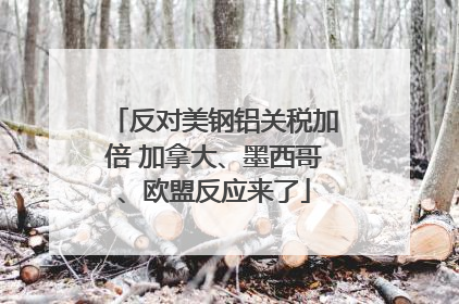 反对美钢铝关税加倍 加拿大、墨西哥、欧盟反应来了