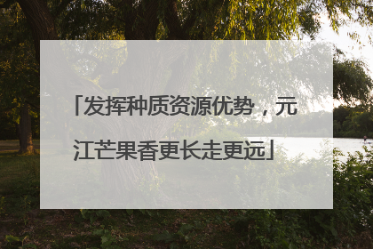 发挥种质资源优势，元江芒果香更长走更远
