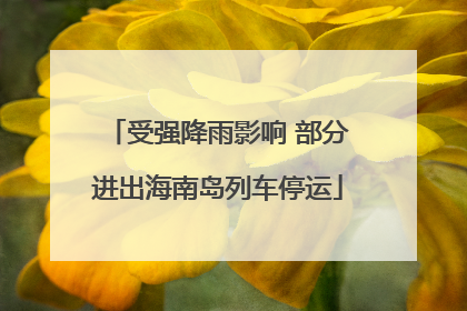 受强降雨影响 部分进出海南岛列车停运