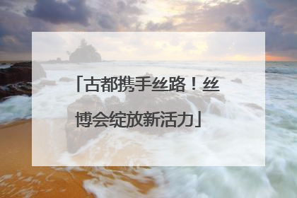 古都携手丝路!丝博会绽放新活力