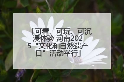 可看、可玩、可沉浸体验 河南2025“文化和自然遗产日”活动举行