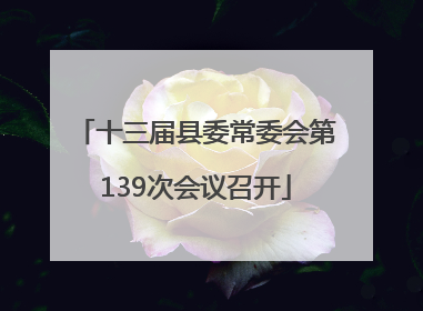 十三届县委常委会第139次会议召开