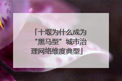 十堰为什么成为“黑马型”城市治理网络维度典型