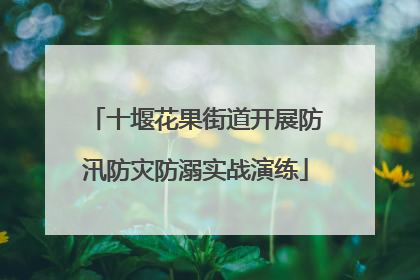 十堰花果街道开展防汛防灾防溺实战演练