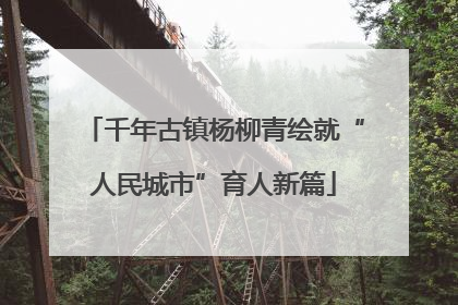 千年古镇杨柳青绘就“人民城市”育人新篇