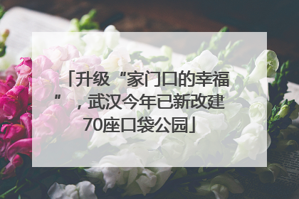 升级“家门口的幸福”，武汉今年已新改建70座口袋公园