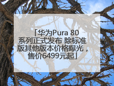 华为Pura 80系列正式发布 除标准版其他版本价格曝光，售价6499元起