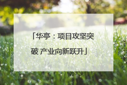 华亭：项目攻坚突破 产业向新跃升