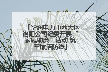 华润电力中西大区洛阳公司纪委开展“家庭助廉”活动 筑牢廉洁防线