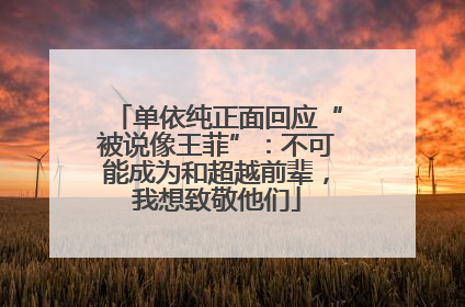 单依纯正面回应“被说像王菲”：不可能成为和超越前辈，我想致敬他们