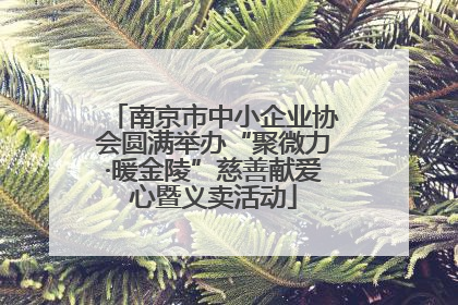 南京市中小企业协会圆满举办“聚微力·暖金陵”慈善献爱心暨义卖活动