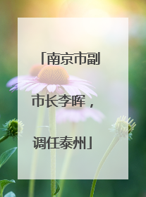 南京市副市长李晖，调任泰州