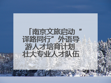南京文旅启动“译路同行”外语导游人才培育计划 壮大专业人才队伍助力重要国际旅游目的地建设