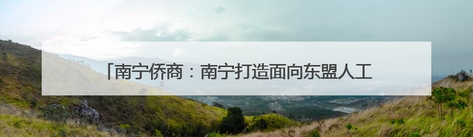 南宁侨商：南宁打造面向东盟人工智能产业高地给侨商提供新机遇