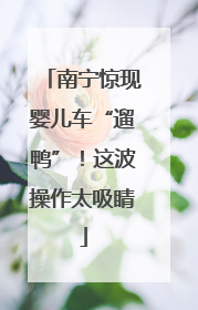 南宁惊现婴儿车“遛鸭”！这波操作太吸睛
