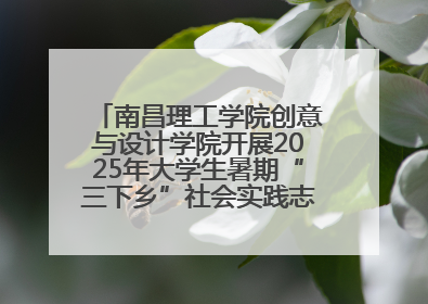 南昌理工学院创意与设计学院开展2025年大学生暑期“三下乡”社会实践志愿服务活动