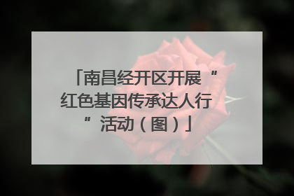 南昌经开区开展“红色基因传承达人行”活动（图）