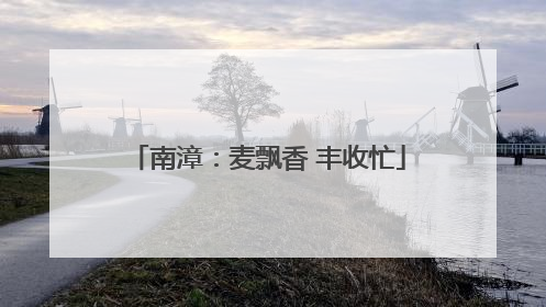 南漳：麦飘香 丰收忙