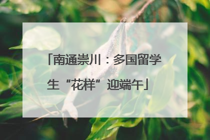 南通崇川：多国留学生“花样”迎端午