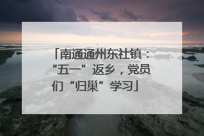 南通通州东社镇：“五一”返乡，党员们“归巢”学习