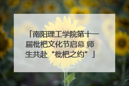 南阳理工学院第十一届枇杷文化节启幕 师生共赴“枇杷之约”
