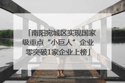 南阳宛城区实现国家级重点“小巨人”企业零突破1家企业上榜