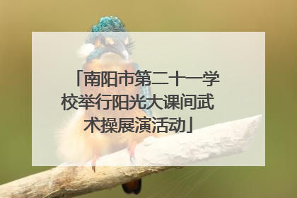南阳市第二十一学校举行阳光大课间武术操展演活动