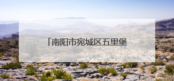 南阳市宛城区五里堡街道：奋楫笃行勇争先 实干奋进结硕果