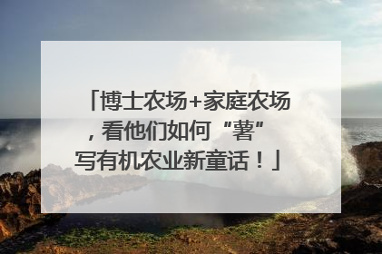 博士农场+家庭农场，看他们如何“薯” 写有机农业新童话！