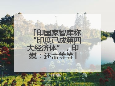 印国家智库称“印度已成第四大经济体”，印媒：还需等等