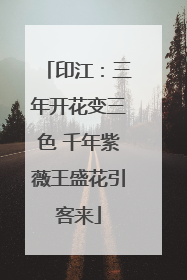 印江：三年开花变三色 千年紫薇王盛花引客来