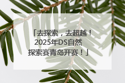 去探索，去超越！2025年DS自然探索赛青岛开赛！