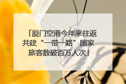 厦门空港今年来往返共建“一带一路”国家旅客数破百万人次