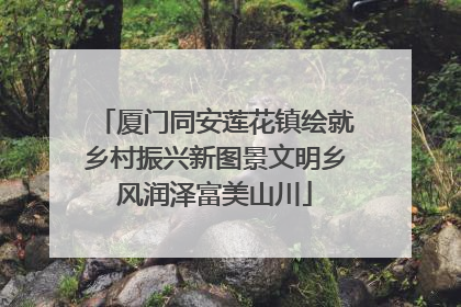 厦门同安莲花镇绘就乡村振兴新图景文明乡风润泽富美山川