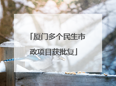 厦门多个民生市政项目获批复