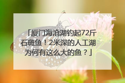 厦门海沧湖钓起72斤石斑鱼！2米深的人工湖为何有这么大的鱼？
