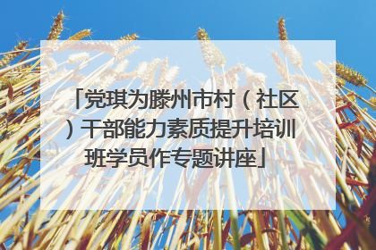 党琪为滕州市村（社区）干部能力素质提升培训班学员作专题讲座