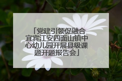党建引领促融合 宜宾江安四面山镇中心幼儿园开展县级课题开题报告会