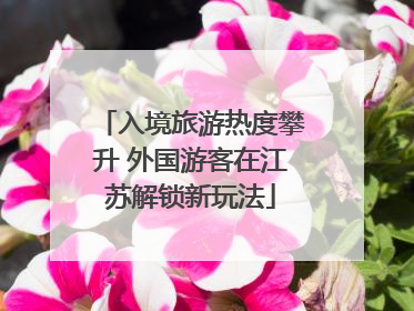 入境旅游热度攀升 外国游客在江苏解锁新玩法