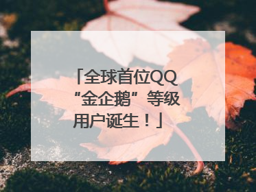 全球首位QQ“金企鹅”等级用户诞生！