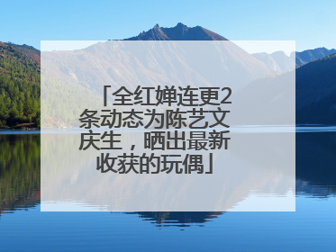 全红婵连更2条动态为陈艺文庆生，晒出最新收获的玩偶